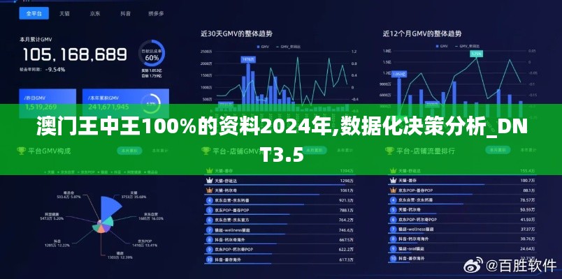 澳門王中王100%的資料2024年,數(shù)據(jù)化決策分析_DNT3.5