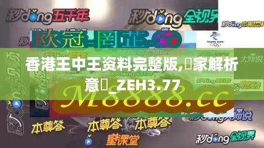 香港王中王資料完整版,專家解析意見_ZEH3.77