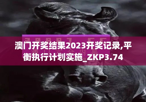 澳門開獎結(jié)果2023開獎記錄,平衡執(zhí)行計劃實施_ZKP3.74