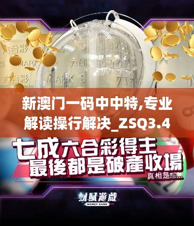 新澳門一碼中中特,專業(yè)解讀操行解決_ZSQ3.46