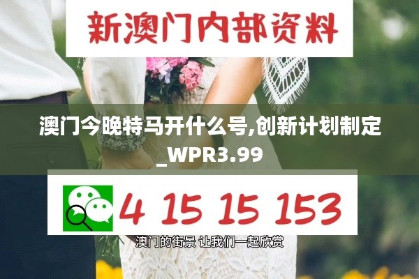 澳門今晚特馬開什么號,創(chuàng)新計劃制定_WPR3.99