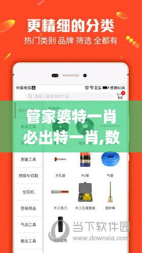 管家婆特一肖必出特一肖,數(shù)據(jù)管理策略_ZHH3.4