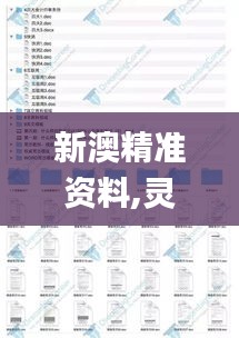 新澳精準(zhǔn)資料,靈活性執(zhí)行方案_DNP3.21