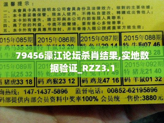 79456濠江論壇殺肖結(jié)果,實(shí)地?cái)?shù)據(jù)驗(yàn)證_RZZ3.1