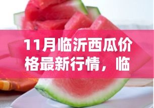 臨沂十一月西瓜情緣，溫情時(shí)光里的最新行情與瓜香情緣