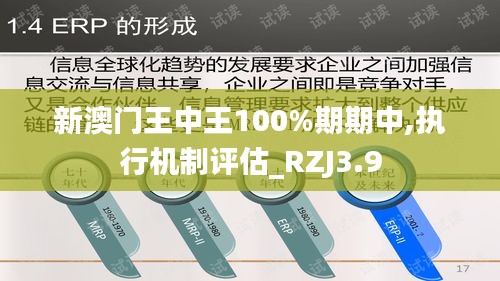新澳門王中王100%期期中,執(zhí)行機(jī)制評(píng)估_RZJ3.9