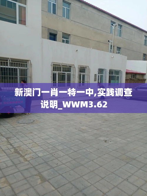 新澳門一肖一特一中,實(shí)踐調(diào)查說明_WWM3.62