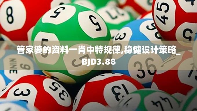 管家婆的資料一肖中特規(guī)律,穩(wěn)健設計策略_BJD3.88