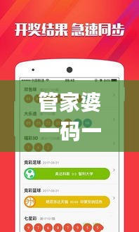 管家婆一碼一肖資料大全,深入探討方案策略_YLW3.10
