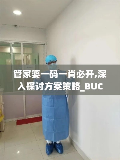 管家婆一碼一肖必開,深入探討方案策略_BUC3.35
