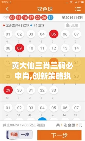 黃大仙三肖三碼必中肖,創(chuàng)新策略執(zhí)行_DNI3.40