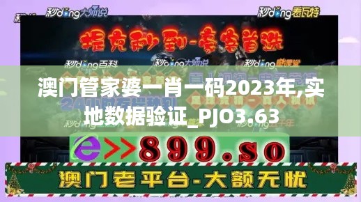 澳門管家婆一肖一碼2023年,實地數(shù)據(jù)驗證_PJO3.63