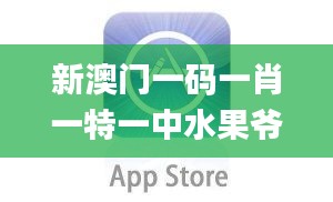 新澳門一碼一肖一特一中水果爺爺,效率評(píng)估方案_NGD3.10