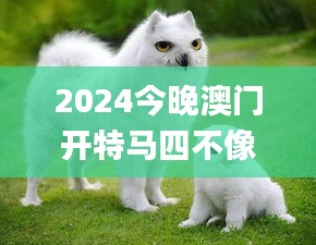 2024今晚澳門開特馬四不像,實時異文說明法_SEA3.94