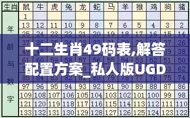 十二生肖49碼表,解答配置方案_私人版UGD7.32