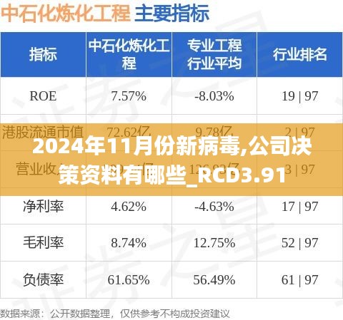 2024年11月份新病毒,公司決策資料有哪些_RCD3.91