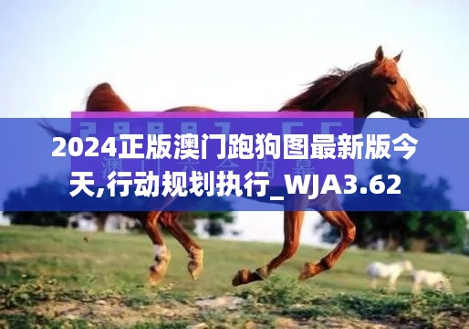 2024正版澳門跑狗圖最新版今天,行動(dòng)規(guī)劃執(zhí)行_WJA3.62