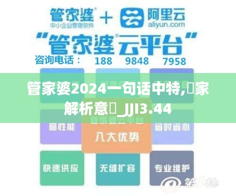 管家婆2024一句話中特,專家解析意見_JJI3.44