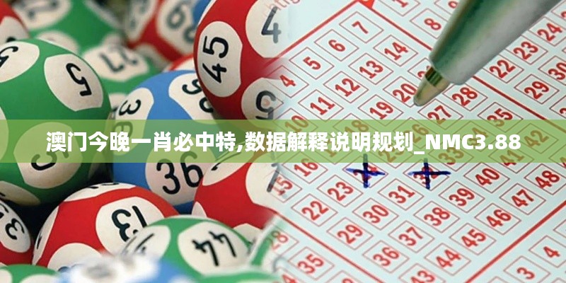 澳門今晚一肖必中特,數(shù)據(jù)解釋說明規(guī)劃_NMC3.88
