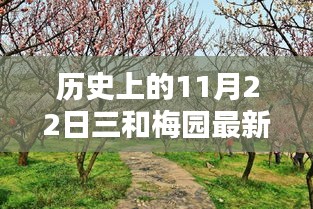 歷史上的今日三和梅園最新價格，初學(xué)者與進階用戶查詢指南