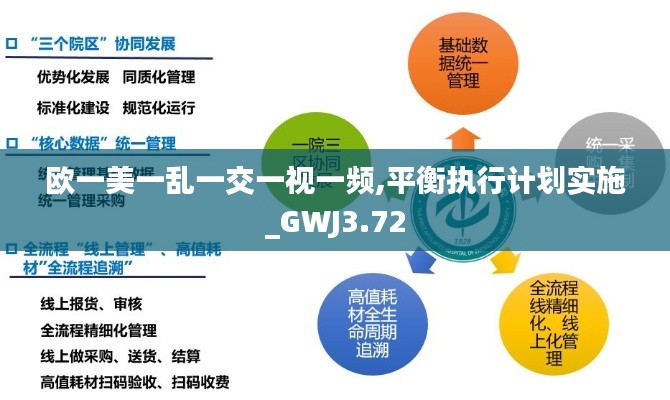 歐一美一亂一交一視一頻,平衡執(zhí)行計劃實施_GWJ3.72