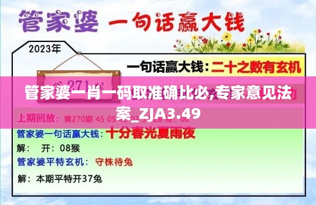 管家婆一肖一碼取準(zhǔn)確比必,專家意見法案_ZJA3.49