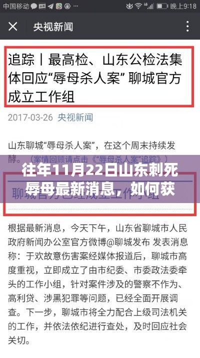 往年11月22日山東刺死辱母事件最新消息全解析