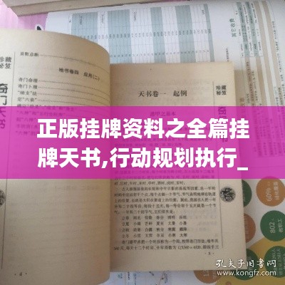 正版掛牌資料之全篇掛牌天書,行動(dòng)規(guī)劃執(zhí)行_GSN3.40