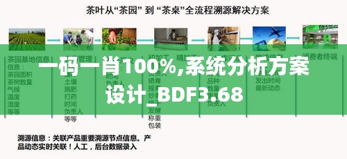 一碼一肖100%,系統(tǒng)分析方案設(shè)計(jì)_BDF3.68