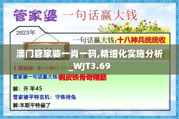 澳門管家婆一肖一碼,精細化實施分析_WJT3.69