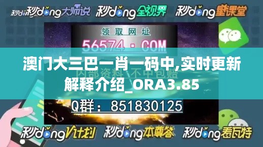 澳門大三巴一肖一碼中,實時更新解釋介紹_ORA3.85