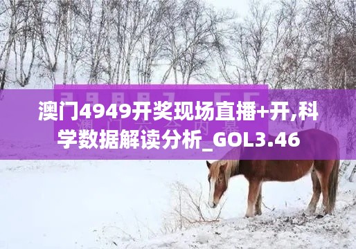 澳門4949開獎現(xiàn)場直播+開,科學數(shù)據(jù)解讀分析_GOL3.46