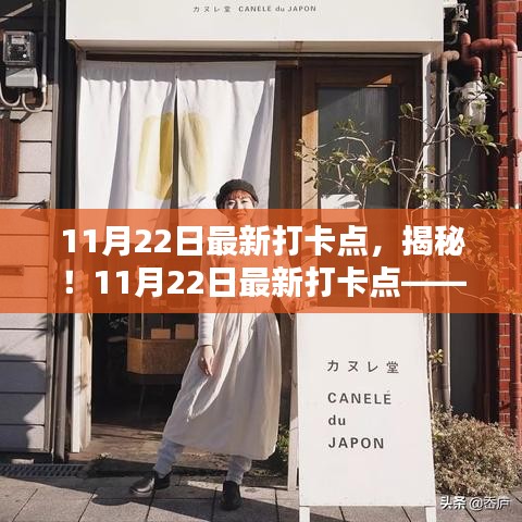 揭秘，巷弄深處的特色小店——11月22日最新打卡點(diǎn)，獨(dú)特風(fēng)情不容錯(cuò)過！