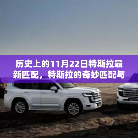 特斯拉的奇妙匹配與溫馨日常，歷史上的重要時(shí)刻回顧（11月22日最新匹配）
