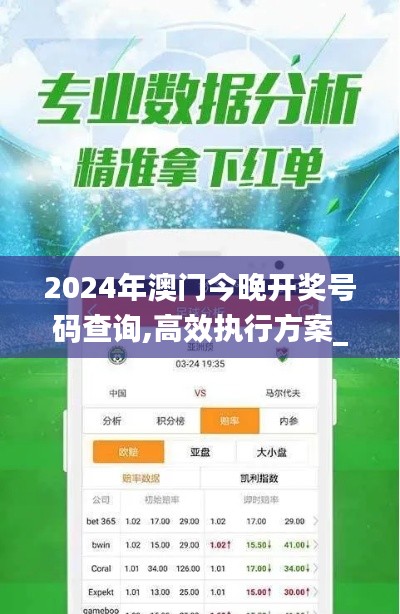 2024年澳門今晚開獎號碼查詢,高效執(zhí)行方案_夢想版CGO5.15