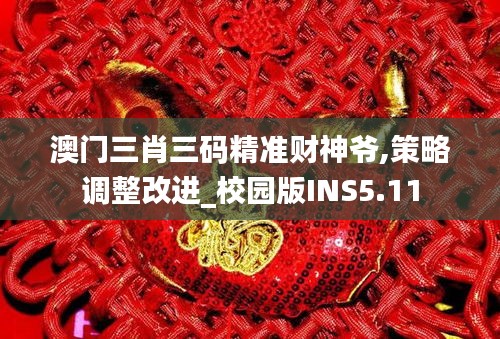 澳門三肖三碼精準財神爺,策略調(diào)整改進_校園版INS5.11