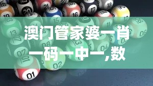 澳門管家婆一肖一碼一中一,數(shù)據(jù)引導(dǎo)設(shè)計(jì)方法_隨行版FKR5.64