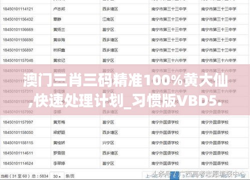 澳門三肖三碼精準100%黃大仙,快速處理計劃_習慣版VBD5.97