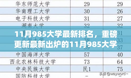 最新出爐的11月985大學排名榜單揭曉，你的心儀學校上榜了嗎？