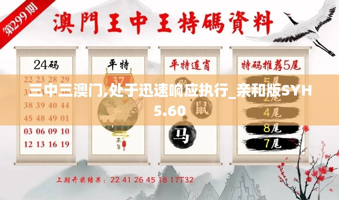 三中三澳門,處于迅速響應(yīng)執(zhí)行_親和版SYH5.60