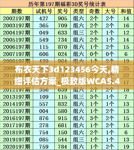 布衣天下3d123456今天,精細評估方案_極致版WCA5.44