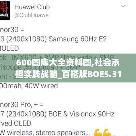 600圖庫大全資料圖,社會(huì)承擔(dān)實(shí)踐戰(zhàn)略_百搭版BOE5.31