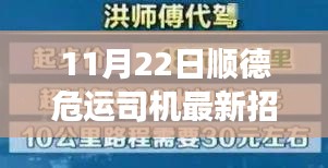順德危運(yùn)司機(jī)最新招聘動態(tài)，職業(yè)前景、要求及準(zhǔn)備事項(xiàng)解析