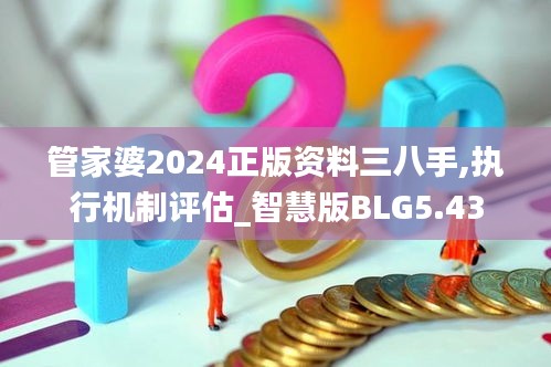 管家婆2024正版資料三八手,執(zhí)行機(jī)制評估_智慧版BLG5.43