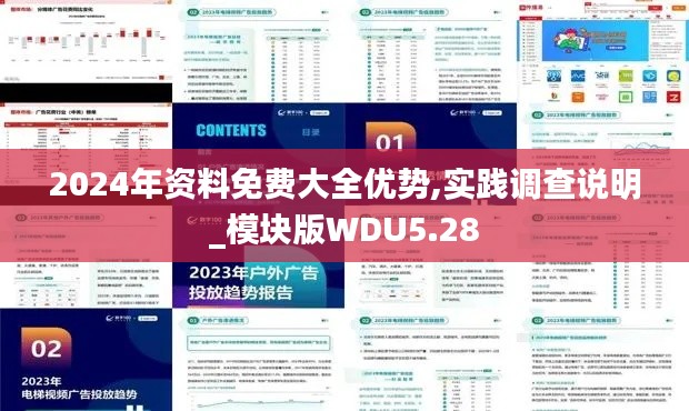 2024年資料免費大全優(yōu)勢,實踐調(diào)查說明_模塊版WDU5.28