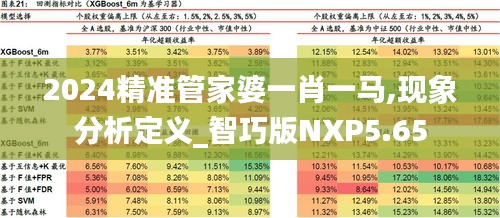 2024精準管家婆一肖一馬,現(xiàn)象分析定義_智巧版NXP5.65