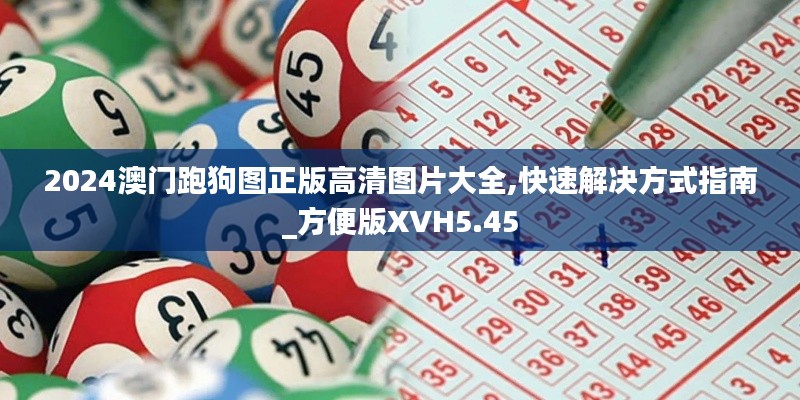 2024澳門跑狗圖正版高清圖片大全,快速解決方式指南_方便版XVH5.45