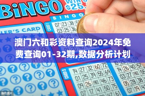 澳門六和彩資料查詢2024年免費查詢01-32期,數(shù)據(jù)分析計劃_家庭版HUY5.25