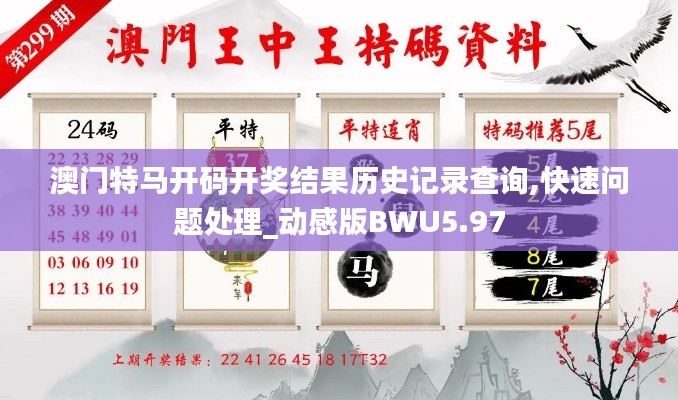 澳門特馬開碼開獎結(jié)果歷史記錄查詢,快速問題處理_動感版BWU5.97