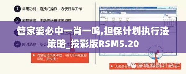 管家婆必中一肖一鳴,擔保計劃執(zhí)行法策略_投影版RSM5.20